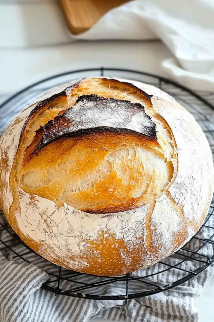 Storing Speedy Same Day Sourdough Bread